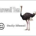 Post_1512_Tom Gibson’ SK_b_425x325_96