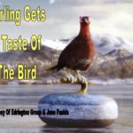 Post_1712_Grouse_425x350_96