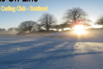 cropped-Header-Logo_1000x450_96.png
